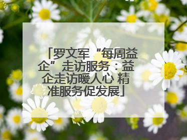 罗文军“每周益企”走访服务：益企走访暖人心 精准服务促发展