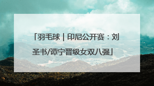 羽毛球｜印尼公开赛：刘圣书/谭宁晋级女双八强