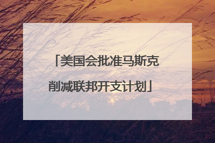 美国会批准马斯克削减联邦开支计划