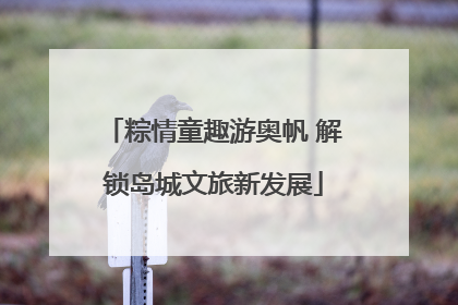 粽情童趣游奥帆 解锁岛城文旅新发展