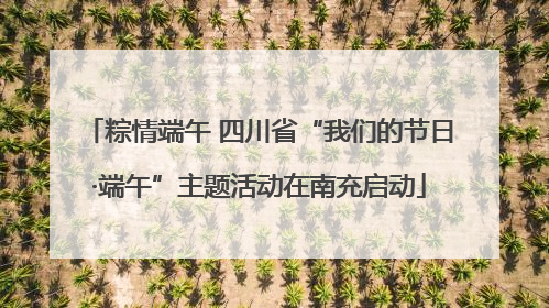 粽情端午 四川省“我们的节日·端午”主题活动在南充启动