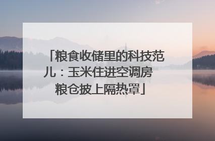 粮食收储里的科技范儿：玉米住进空调房 粮仓披上隔热罩