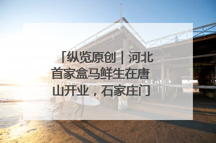 纵览原创｜河北首家盒马鲜生在唐山开业，石家庄门店预计8月开业