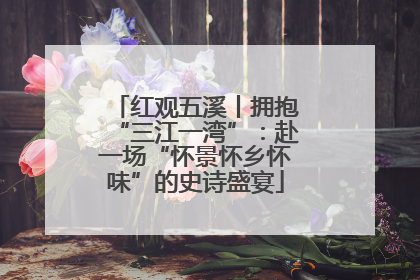 红观五溪丨拥抱“三江一湾”：赴一场“怀景怀乡怀味”的史诗盛宴