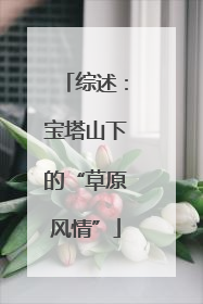 综述：宝塔山下的“草原风情”