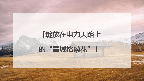 绽放在电力天路上的“雪域格桑花”