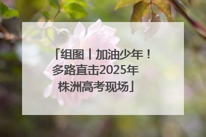 组图丨加油少年！多路直击2025年株洲高考现场