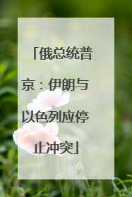 俄总统普京：伊朗与以色列应停止冲突