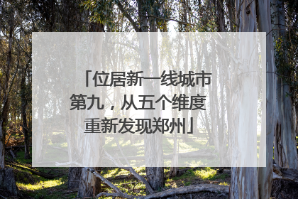 位居新一线城市第九，从五个维度重新发现郑州