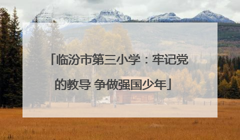 临汾市第三小学：牢记党的教导 争做强国少年