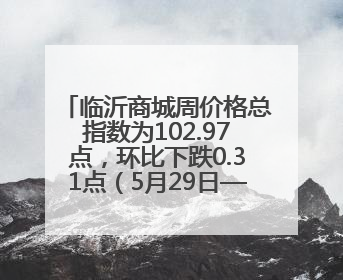临沂商城周价格总指数为102.97点，环比下跌0.31点（5月29日—6月4日）