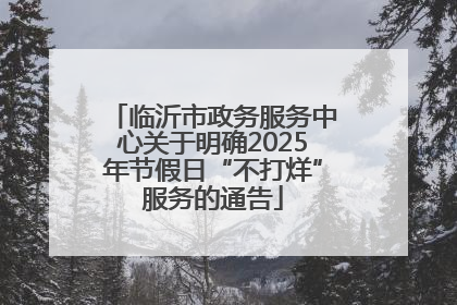 临沂市政务服务中心关于明确2025年节假日“不打烊”服务的通告
