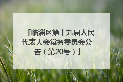临淄区第十九届人民代表大会常务委员会公告（第20号）