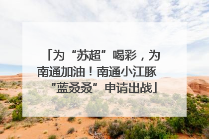 为“苏超”喝彩，为南通加油！南通小江豚“蓝叒叒”申请出战