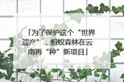 为了保护这个“世界遗产”，蚂蚁森林在云南再“种”新项目