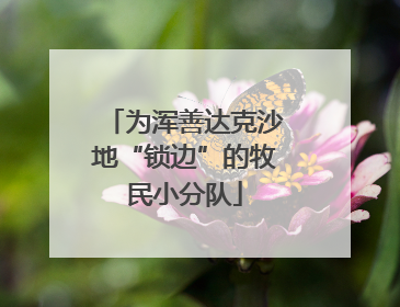 为浑善达克沙地“锁边”的牧民小分队