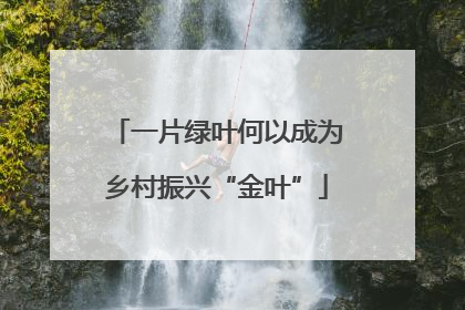 一片绿叶何以成为乡村振兴“金叶”
