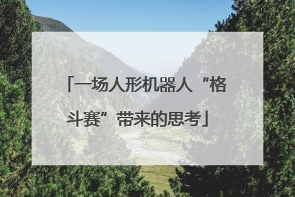 一场人形机器人“格斗赛”带来的思考