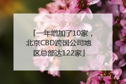 一年增加了10家，北京CBD跨国公司地区总部达122家