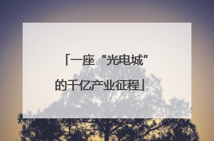 一座“光电城”的千亿产业征程