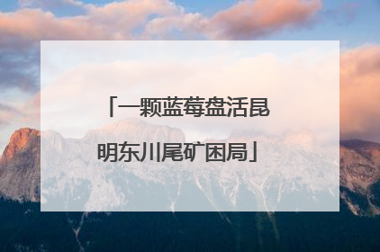 一颗蓝莓盘活昆明东川尾矿困局