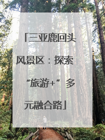 三亚鹿回头风景区：探索“旅游+”多元融合路