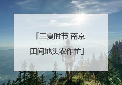 三夏时节 南京田间地头农作忙