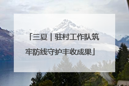 三夏｜驻村工作队筑牢防线守护丰收成果