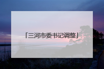 三河市委书记调整