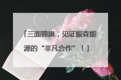 三面锦旗，见证振森能源的“非凡合作”！