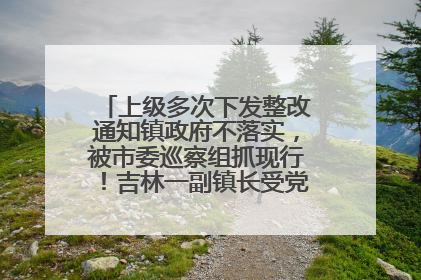 上级多次下发整改通知镇政府不落实，被市委巡察组抓现行！吉林一副镇长受党内警告处分