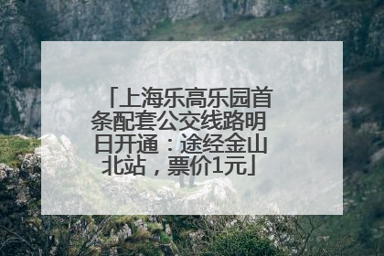 上海乐高乐园首条配套公交线路明日开通：途经金山北站，票价1元
