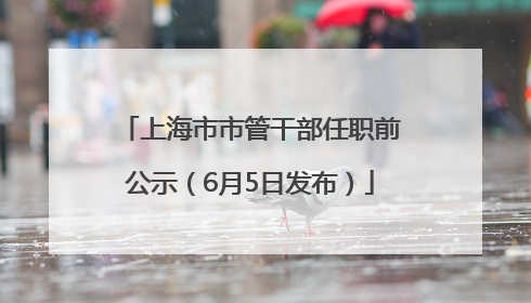 上海市市管干部任职前公示（6月5日发布）