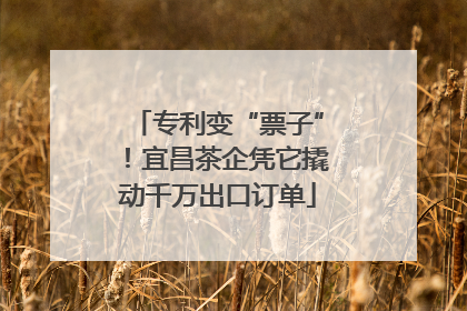 专利变“票子”！宜昌茶企凭它撬动千万出口订单