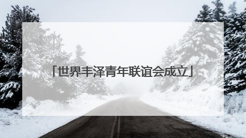 世界丰泽青年联谊会成立