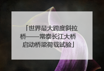 世界最大跨度斜拉桥——常泰长江大桥启动桥梁荷载试验