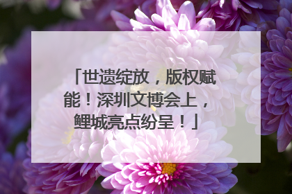 世遗绽放，版权赋能！深圳文博会上，鲤城亮点纷呈！
