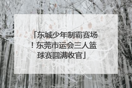 东城少年制霸赛场！东莞市运会三人篮球赛圆满收官