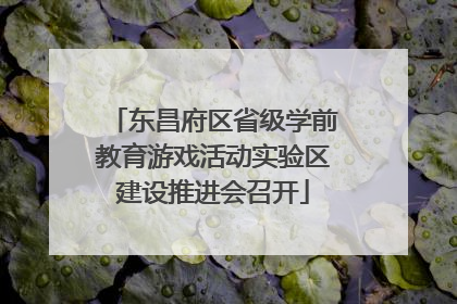 东昌府区省级学前教育游戏活动实验区建设推进会召开