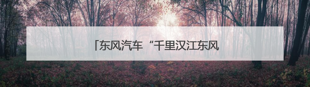 东风汽车“千里汉江东风行”公益行动走进襄阳