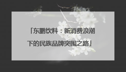 东鹏饮料：新消费浪潮下的民族品牌突围之路