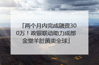 两个月内完成融资300万！政银联动助力成都金堂羊肚菌卖全球