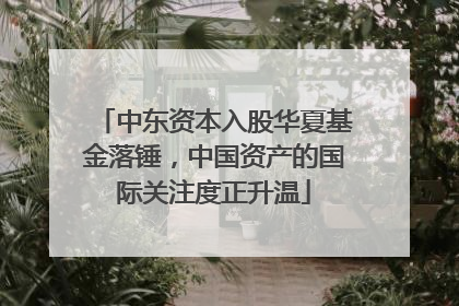 中东资本入股华夏基金落锤，中国资产的国际关注度正升温