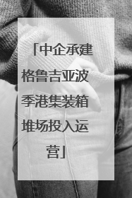 中企承建格鲁吉亚波季港集装箱堆场投入运营