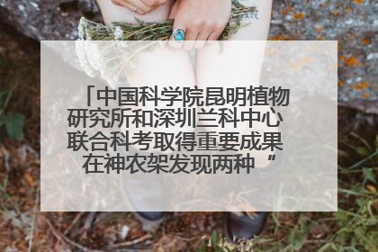 中国科学院昆明植物研究所和深圳兰科中心联合科考取得重要成果 在神农架发现两种“国保”级兰花