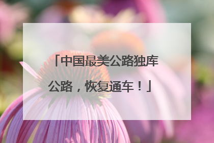 中国最美公路独库公路，恢复通车！