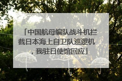 中国航母编队战斗机拦截日本海上自卫队巡逻机，我驻日使馆回应