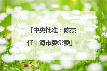 中央批准：陈杰任上海市委常委