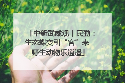 中新武威观｜民勤：生态蝶变引“客”来 野生动物乐逍遥