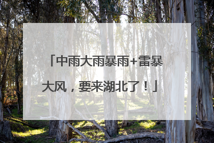 中雨大雨暴雨+雷暴大风，要来湖北了！